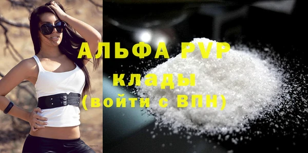 эйфоретик Богданович
