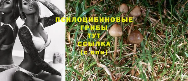 эйфоретик Богданович